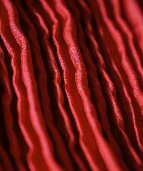 Folded Motion