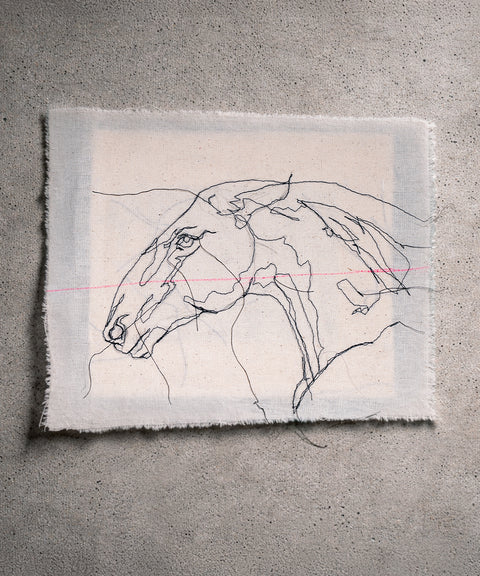 Equine Grace
